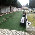 cendrário (1).jpg